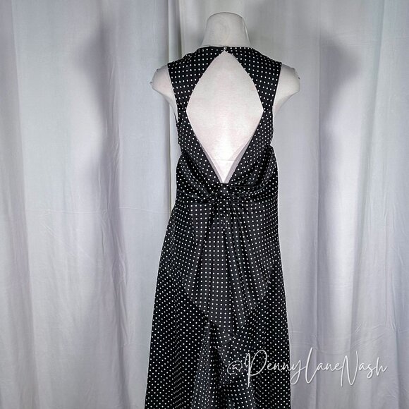 Kate Young Satin Polka Dot Open Back Maxi Dress - Picture 10 of 16